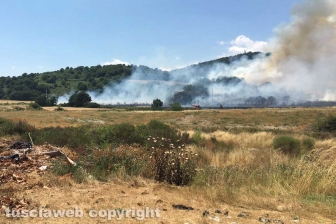 Bosco in fiamme a Latera