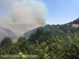 Bosco in fiamme a Latera