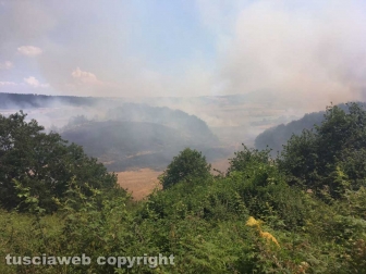 Bosco in fiamme a Latera