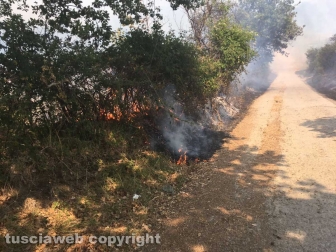 Bosco in fiamme a Latera