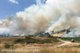Bosco in fiamme a Latera