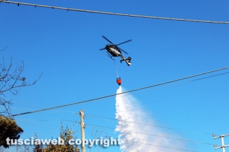 Bosco in fiamme in strada Roncone
