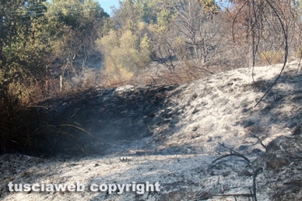 Bosco in fiamme in strada Roncone