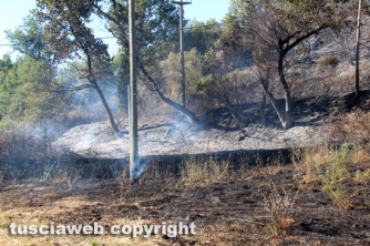 Bosco in fiamme in strada Roncone