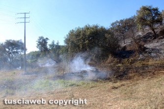 Bosco in fiamme in strada Roncone