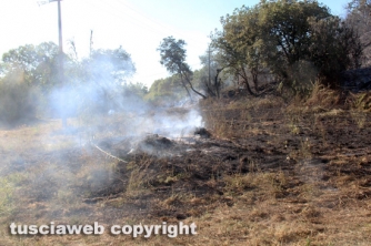 Bosco in fiamme in strada Roncone