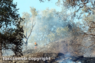 Bosco in fiamme in strada Roncone