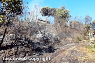 Bosco in fiamme in strada Roncone
