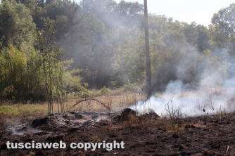 Bosco in fiamme in strada Roncone