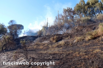 Bosco in fiamme in strada Roncone
