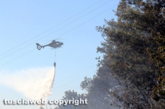 Bosco in fiamme in strada Roncone