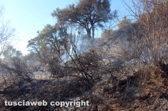Bosco in fiamme in strada Roncone