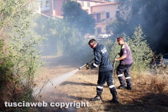 Bosco in fiamme in strada Roncone