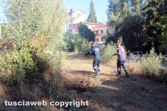 Bosco in fiamme in strada Roncone