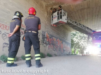 Viterbo - Cadono calcinacci in strada S. Lazzaro - I vigili del fuoco