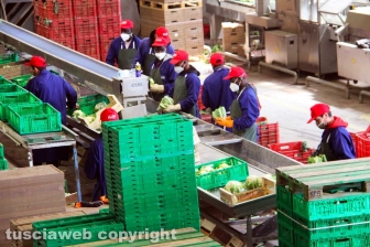 L'azienda agricola Camilli