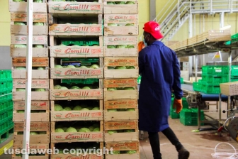 L'azienda agricola Camilli