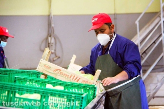 L'azienda agricola Camilli