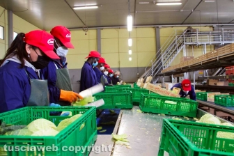 L'azienda agricola Camilli