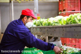 L'azienda agricola Camilli