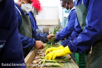 L'azienda agricola Camilli