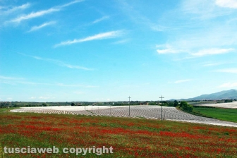 L'azienda agricola Camilli