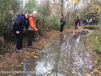 Cammino sulle vie dell'esilio di santa Rosa