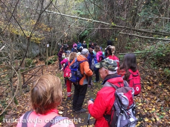 Cammino sulle vie dell'esilio di santa Rosa