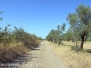 Campagna
