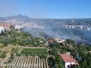 Campi in fiamme al Carmine