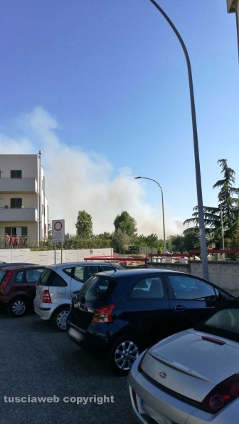 Campi in fiamme al Carmine