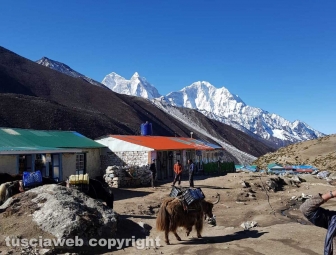 Il gruppo di Sisipuòfare al campo base dell'Everest