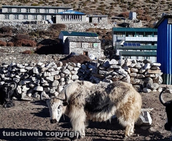 Il gruppo di Sisipuòfare al campo base dell'Everest