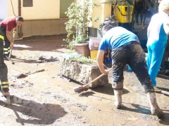 I canepinesi ripuliscono via Viterbo