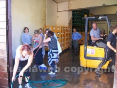 I canepinesi ripuliscono il paese