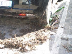 Il fango per le strade di Canepina