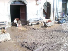 I canepinesi ripuliscono il paese