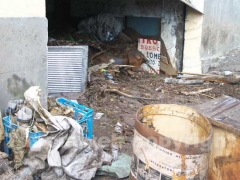 Fango e detriti nei garage di Canepina