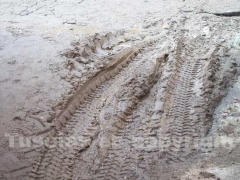 Fango e detriti per le strade di Canepina