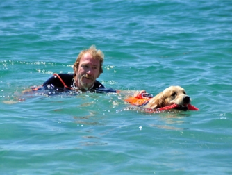 Cani-bagnino in azione