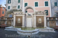 Canino - Fontana del cane
