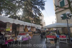 Canino - Mercato sotto la collegiata