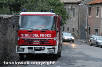 Viterbo - Cantina in fiamme, morti otto cani