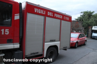 Viterbo - Cantina in fiamme, morti otto cani
