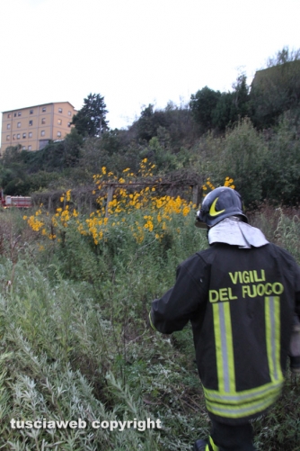 Viterbo - Cantina in fiamme, morti otto cani