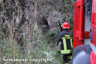 Viterbo - Cantina in fiamme, morti otto cani