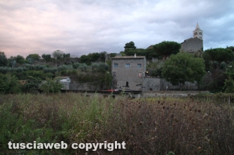 Viterbo - Cantina in fiamme, morti otto cani