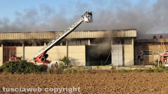 Viterbo - Incendio sulla Teverina