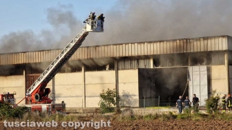 Viterbo - Incendio sulla Teverina
