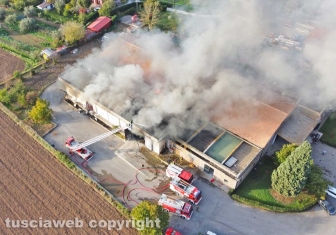 Viterbo - Incendio sulla Teverina